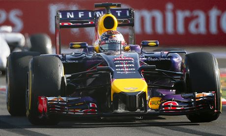 Pilot Red Bullu Sebastian Vettel.