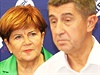 Zuzana Baudyová a Andrej Babi ve volebním tábu ANO.