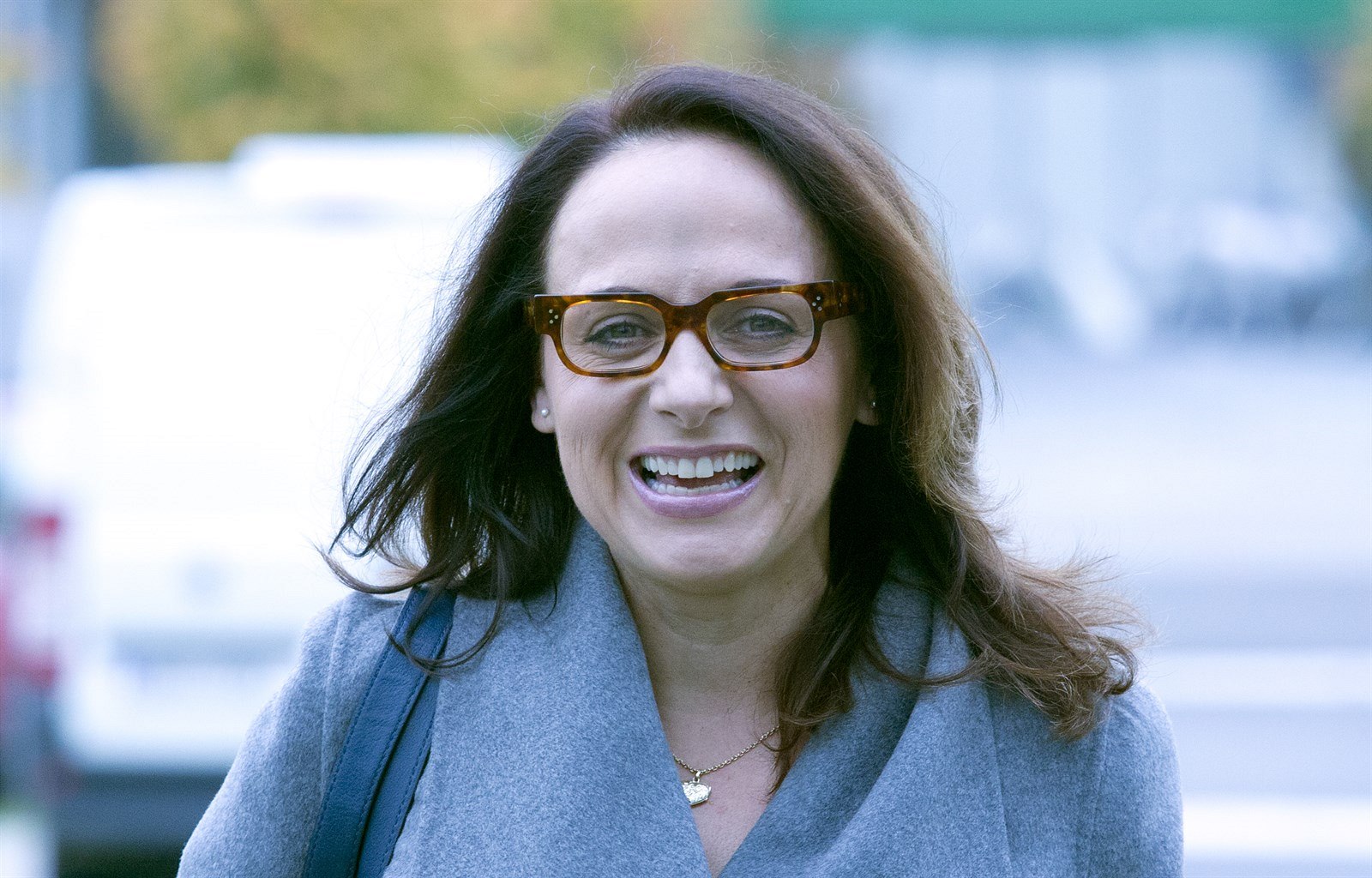 Adriana Krná�ová, ANO, v dobré nálad�.
