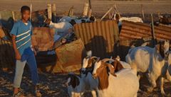 U�ivit se sna�í ka�dý