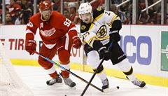 Obránce Detroit Red Wings Kyle Quincey (27) a center Boston Bruins Chris Kelly...