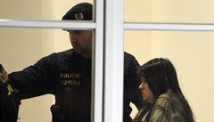 Policisté pivádjí 15. íjna k jihlavskému okresnímu soudu enu, která v úterý...