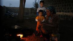 Co s námi bude? Ze severosyrského Kobani obléhaného Islámským státem uprchlo ve...
