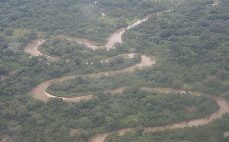 Rezervace nachzejc se v povod eky Ro Pltano je jednm z mla pozstatk...