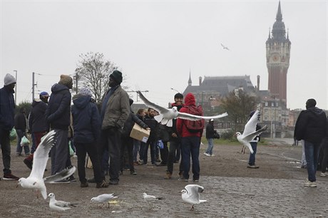 Imigranti ekají na denní pídl jídla v Calais.