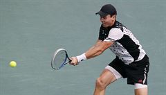 Tomá� Berdych