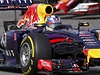 Jezdec stje Red Bull Daniel Ricciardo na okruhu v Austinu.