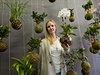 Projekt Zahrada na niti zahradní architektky Lenky Hrubé (na snímku) je...