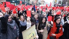 Protestující s červenými kartami pískali a vyzývali Zemana k odstoupení z... | na serveru Lidovky.cz | aktuální zprávy