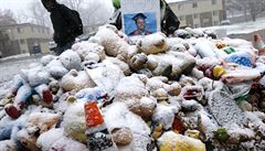 Památník Michaela Browna ve Fergusonu je zapadaný sn�hem