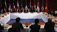 Jednání na summitu Rady pro ekonomickou spolupráci Asie a Tichomo�í (APEC) v...
