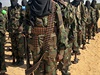 Milice al-Šabáb.