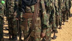 Milice al-�ab�b.