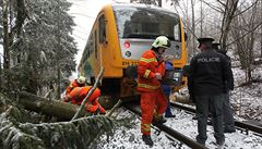 V Rad�ovicích krom� ledovky padaly na vlaky stromy.