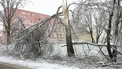 Kalamita v P�erov�
