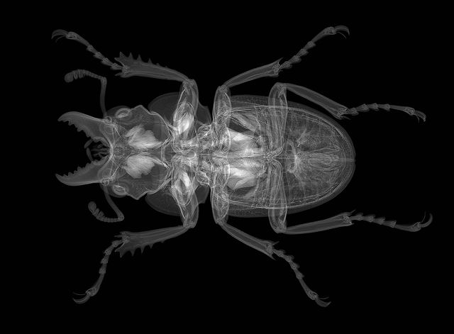 Absolutní vít�z Viktor Sýkora: Rohá� V�decké p�ístroje se neustále vyvíjejí a...