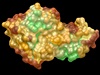 2. místo v kategorii Virtuální píroda Jana Pilátová: CZ-like protein Protein...