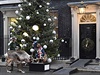 Vánoní výzdoba ped Downing Street 10 v centrálním Londýn.