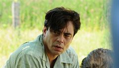 Benicio del Toro jako indián Jimmy Pickard ve filmu Jimmy P. | na serveru Lidovky.cz | aktuální zprávy