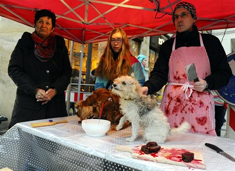 Happening Prodej vánoních ps uspoádali aktivisté z Kolektivu pro zvíata v...