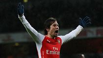 Tomáš Rosický slaví gól v dresu Arsenalu.