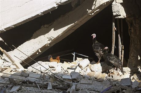 Drbe v sutinch domu v syrskm Aleppu.