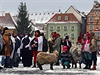 V nedli 4. ledna proel Chebem prvod koledník. Akce ke Tíkrálové sbírce...