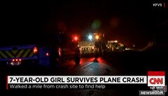 Sedmilet dvka peila pd malho soukromho letadla, rodina zahynula