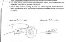 Msto prodalo budoucí Mynáovu vilu podnikateli Radku Luákovi za 8 250 000 K.