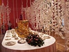Amsterodamská Hermitage oslavila svoje páté výroí opravdu luxusní akcí....