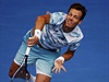 Tomá Berdych na letoním Australian Open.