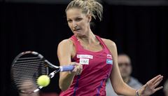 Češky jsou v semifinále Fed Cupu, proti Kanadě rozhodla Plíšková