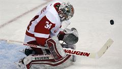 eský gólman Petr Mrázek vychytal v brance Detroit Red Wings první nulu letoní...