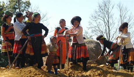 Hmongové