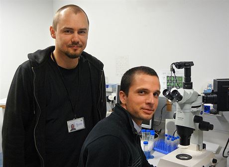 Docent Petr Svoboda (vlevo) se svým doktorandem Matyášem Flemrem. Společně v...