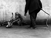 Opice se krí ped cirkusovým trenérem, ína. Autor: Yongzhi Chu - 1. cena v...