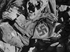 Mrtvý voják SA po náletu spojeneckých vojsk na Dráany v roce 1945. Kolik lidí...