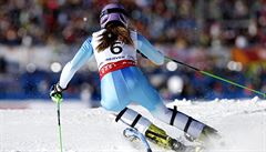 Skvlé výsledky na snhu odstartovala v sobotu veer eského asu lyaka árka...