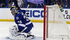 Hráč St. Louis Blues Dmitrij Jaškin přispěl ve čtvrtečním utkání NHL svým osmým... | na serveru Lidovky.cz | aktuální zprávy