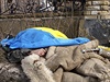 Pod vlajkou vlasti. Tlo ukrajinského vojáka, který zahynul bhem obrany msta...
