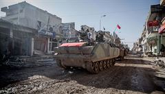 Kurdov opt zskali plnou kontrolu nad syrskm mstem Kobani