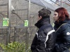 Zoo se nachází 25 kilometr od Brna a papouci se chovají ve 120 voliérách na...
