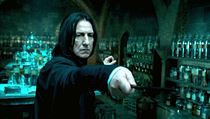 Alan Rickman jako Severus Snape
