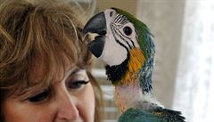 Novou sezónu zahájili v Papou��í zoologické zahrad� v Bo�ovicích na Vy�kovsku...