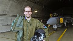 Gripen (ilustra�ní snímek)