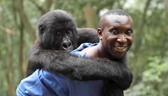 Divky Jednoho svta nadchl docu-thriller o zchran goril Virunga