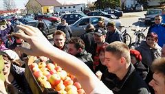 Rozdávání jablek v Polsku. | na serveru Lidovky.cz | aktuální zprávy