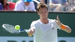 esk ance na udren v Davis Cupu vzrostly: v bari pome Berdych