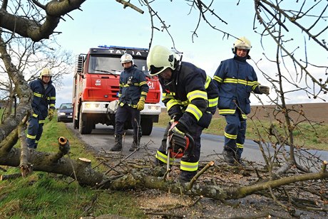 U obce Horice omezoval dopravu padlý strom.