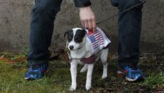 P�ímo u ruzy�ských kasáren se odpoledne uskute�ní i jeden ze dvou koncert� pro...